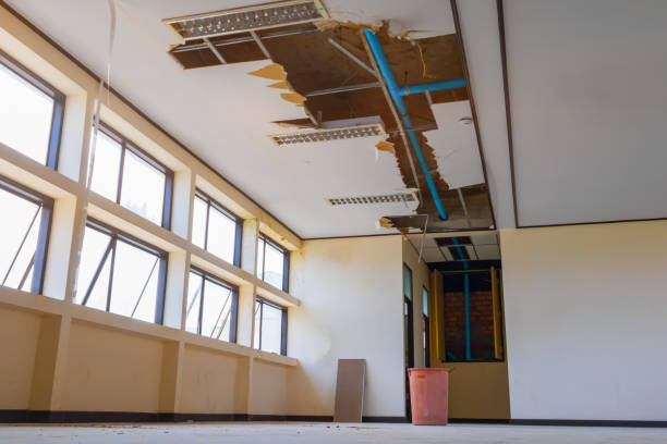 Best 24-hour water damage restoration  in Lake Fenton, MI