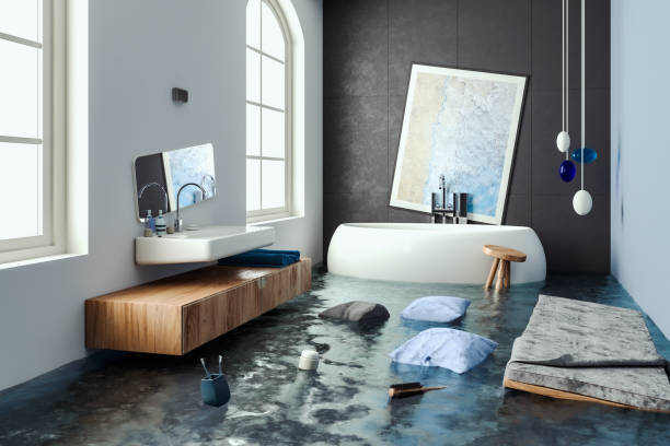 Best Water damage restoration services  in Lake Fenton, MI