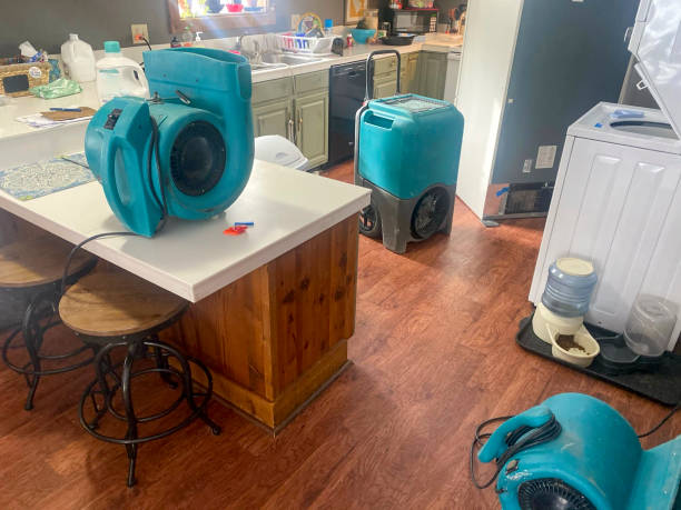 Best Water damage cleanup near me  in Lake Fenton, MI
