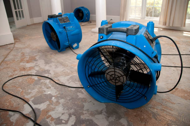 Best Commercial water damage restoration  in Lake Fenton, MI