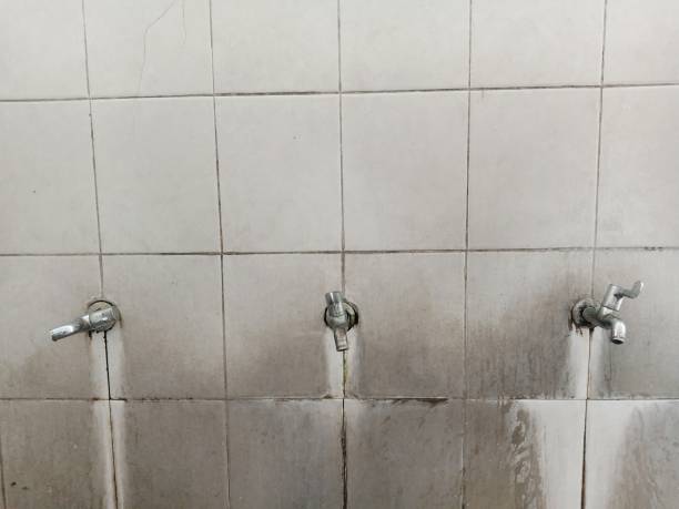 Best Local water damage restoration  in Lake Fenton, MI