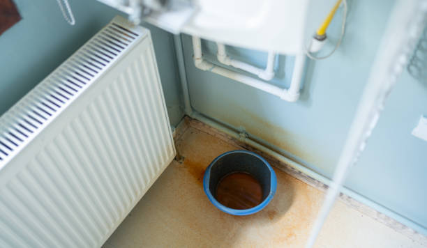 Best Professional water damage repair  in Lake Fenton, MI