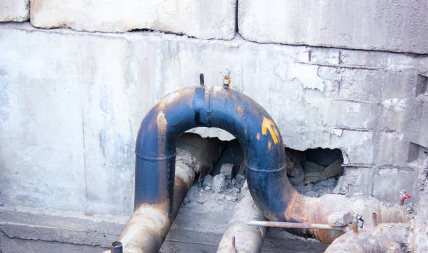 Best Flood restoration services  in Lake Fenton, MI