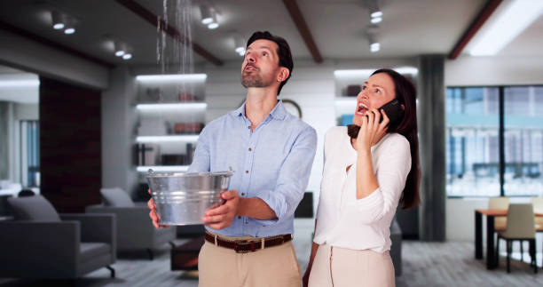 Best Water damage restoration near me  in Lake Fenton, MI