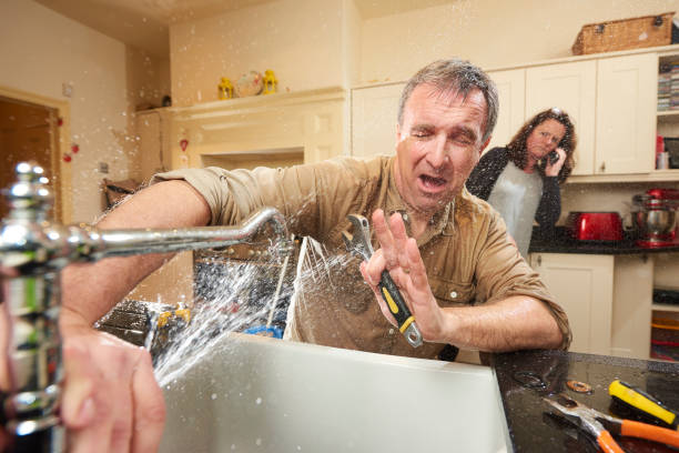 Best Basement water damage restoration  in Lake Fenton, MI